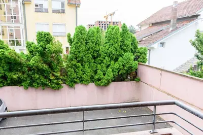 a set of stairs in a building with trees at Royalux Zemun Residences in Belgrade