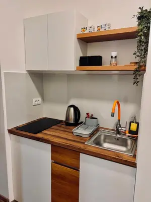 a kitchen with a sink and a counter top at Stefan Suite Belgrade Center Apartment in Belgrade