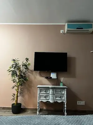 a tv on a wall next to a table with a plant at Squeeze The Day in Belgrade