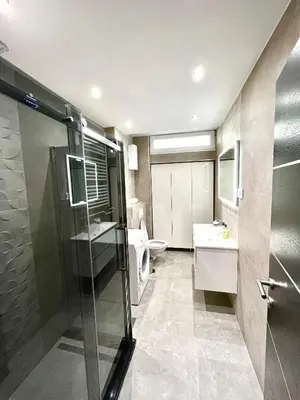 a bathroom with a shower and a sink at Apartment Delic in Belgrade