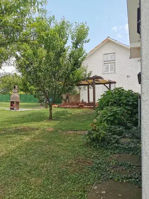 a backyard with a tree and a picnic table at Big Borak in Veliki Borak