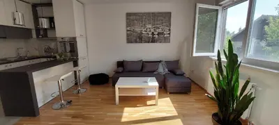 a living room with a couch and a table at Miyaki Apartment in Belgrade