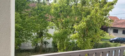 a view of a tree from a balcony at Miyaki Apartment in Belgrade