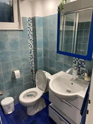 a bathroom with a white toilet and a sink at Martina Lux in Belgrade