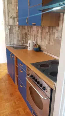 a blue kitchen with a stove and a sink at Apartment MrCvetko FREE PARKING in Bežanija