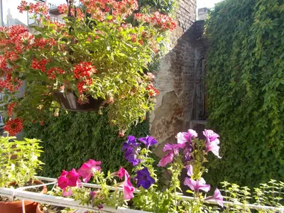 a bunch of flowers in pots on the side of a building at Hostel El Diablo in Belgrade