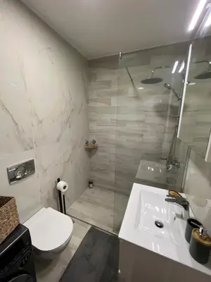 a bathroom with a shower and a toilet and a sink at Lenka in Dušanovac (historical)