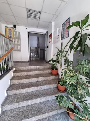 a hallway with plants and stairs in an office at THE FIVE-OLD TOWN Apartments in Belgrade