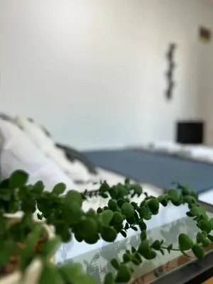 Gallery image of Central Studio 317 in Belgrade