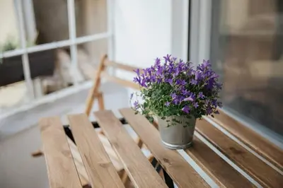 Gallery image of Heaven Apartment in Belgrade