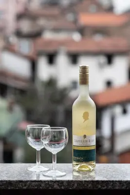 a bottle of wine and two glasses on a table at Balkan dream **** in Belgrade