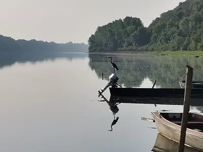 a bird sitting on the end of a boat on a lake at Vikendica Tisa Dukatar in Titel