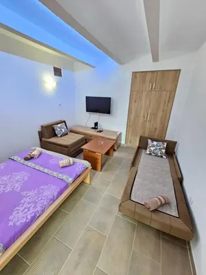 a room with two beds and a couch and a tv at Booking Apartments Alone 1 in Belgrade