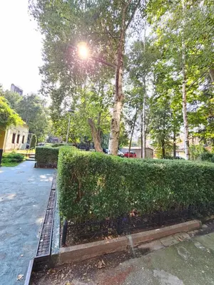 a hedge in a park next to a street at Booking Apartments Alone 1 in Belgrade