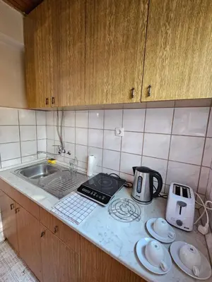 a kitchen with a counter top with a stove and a sink at Booking Apartments Alone 1 in Belgrade