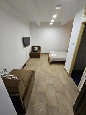 a room with a couch and a bed and a tv at Booking Apartments Alone 2 in Zemun
