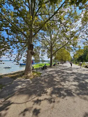 a tree lined sidewalk next to a lake with people walking at Booking Apartments Alone 2 in Zemun