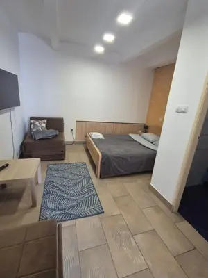 a bedroom with a bed and a couch and a table at Booking Apartments Alone 2 in Zemun