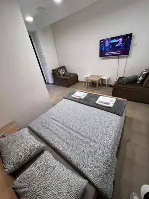a living room with a couch and a flat screen tv at Booking Apartments Alone 2 in Zemun