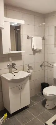 a bathroom with a white sink and a toilet at Miljakovački konak in Belgrade