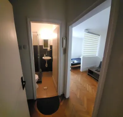 a bathroom with a sink and a toilet in a room at Zvezdara in Belgrade