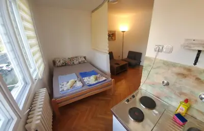 a small room with a bed and a stove at Zvezdara in Belgrade