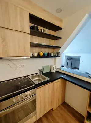 a kitchen with a sink and a counter top at Studio Bajka in Kanarevo Brdo