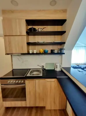 a small kitchen with a sink and a stove at Studio Bajka in Kanarevo Brdo
