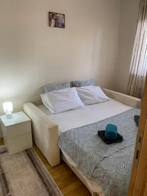Gallery image of Gordana Apartments in Belgrade