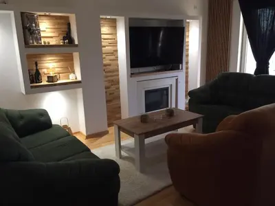 a living room with two couches and a fireplace at Bella Lux Centar in Mladenovac