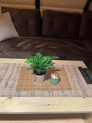 two plants on a coffee table on a couch at Apartman Durtanoski in Belgrade
