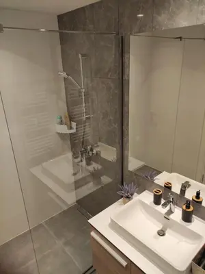 a bathroom with a shower and a sink and a mirror at Verde Comfortable Apartment in Belgrade