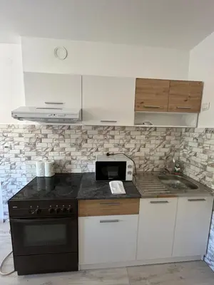 a kitchen with a stove and a microwave at MinuteToRiver Apartment in Belgrade