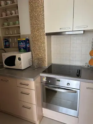 a kitchen with a stove and a microwave at VRACAR Apartment in Belgrade