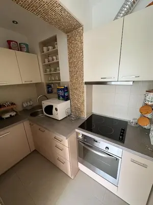 a kitchen with a stove top oven next to a microwave at VRACAR Apartment in Belgrade