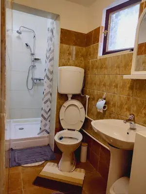 a bathroom with a toilet and a sink and a shower at Apartman Orhideja in Novi Banovci