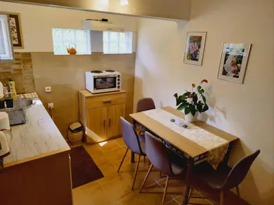 a kitchen with a table and chairs in a kitchen at Apartman Orhideja in Novi Banovci