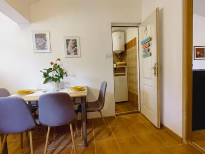 a kitchen and dining room with a table and chairs at Apartman Orhideja in Novi Banovci