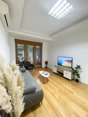 a living room with a couch and a flat screen tv at Hedonist-Modern Urban Stay A Blok in Belgrade