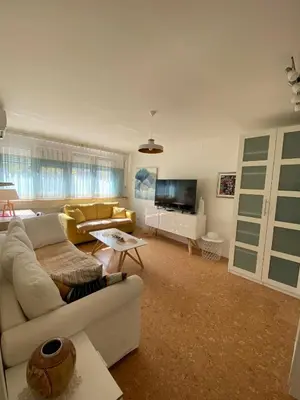 a living room with a couch and a tv at Goce 20 New Belgrade,near hotel Jugoslavija in Tošin Bunar