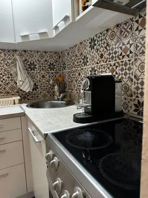 a kitchen with a stove and a sink in it at Cozy loft in Belgrade