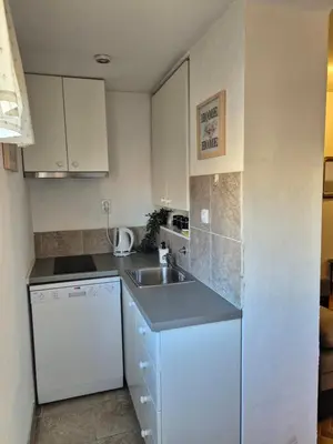 a small kitchen with a sink and a dishwasher at Sweet House Parlament in Belgrade
