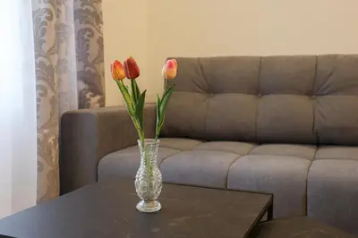 a vase with flowers on a table in front of a couch at Audrey apartment Belgrade in Belgrade