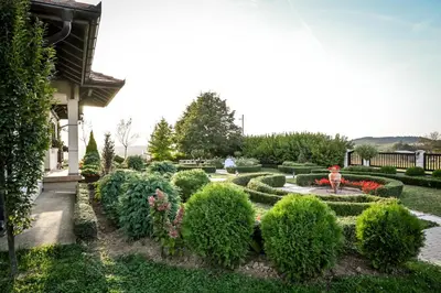 a garden with bushes and hedges in front of a house at Top - kuća za odmor in Bukovik