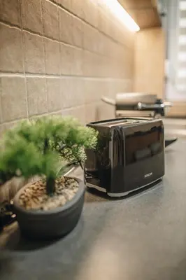 a toaster sitting on a counter next to a plant at Apartman Premijer 1 in Čukarica