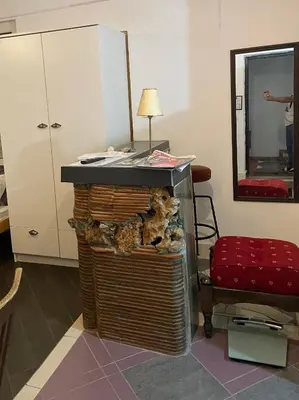 a room with a counter and a table and a mirror at Zvezdana noc in Zvezdara