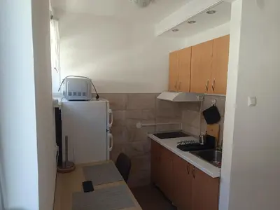 a small kitchen with a refrigerator and a sink at Apartman Nicolas in Karaburma