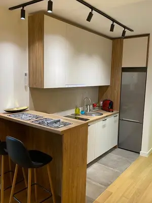 a kitchen with a counter with a sink and a refrigerator at Vrtovi Ceraka in Belgrade