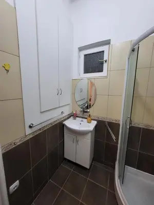 a bathroom with a sink and a mirror and a shower at Kod Vuka in Belgrade