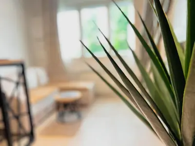 a plant in a room with a table and a chair at Fantasy Apartment in Belgrade
